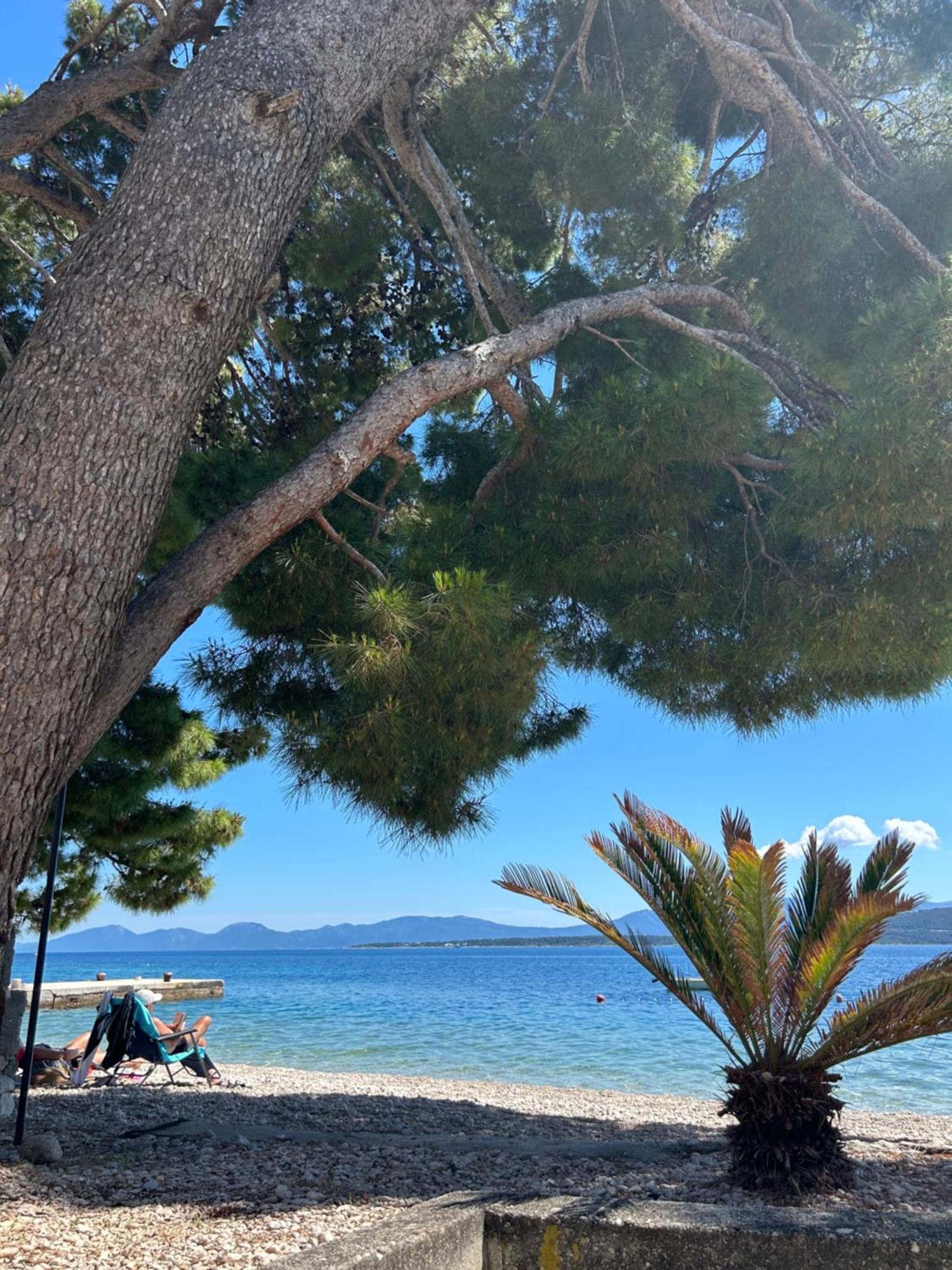 Sobe Gorana Hotel Živogošće Екстериор снимка