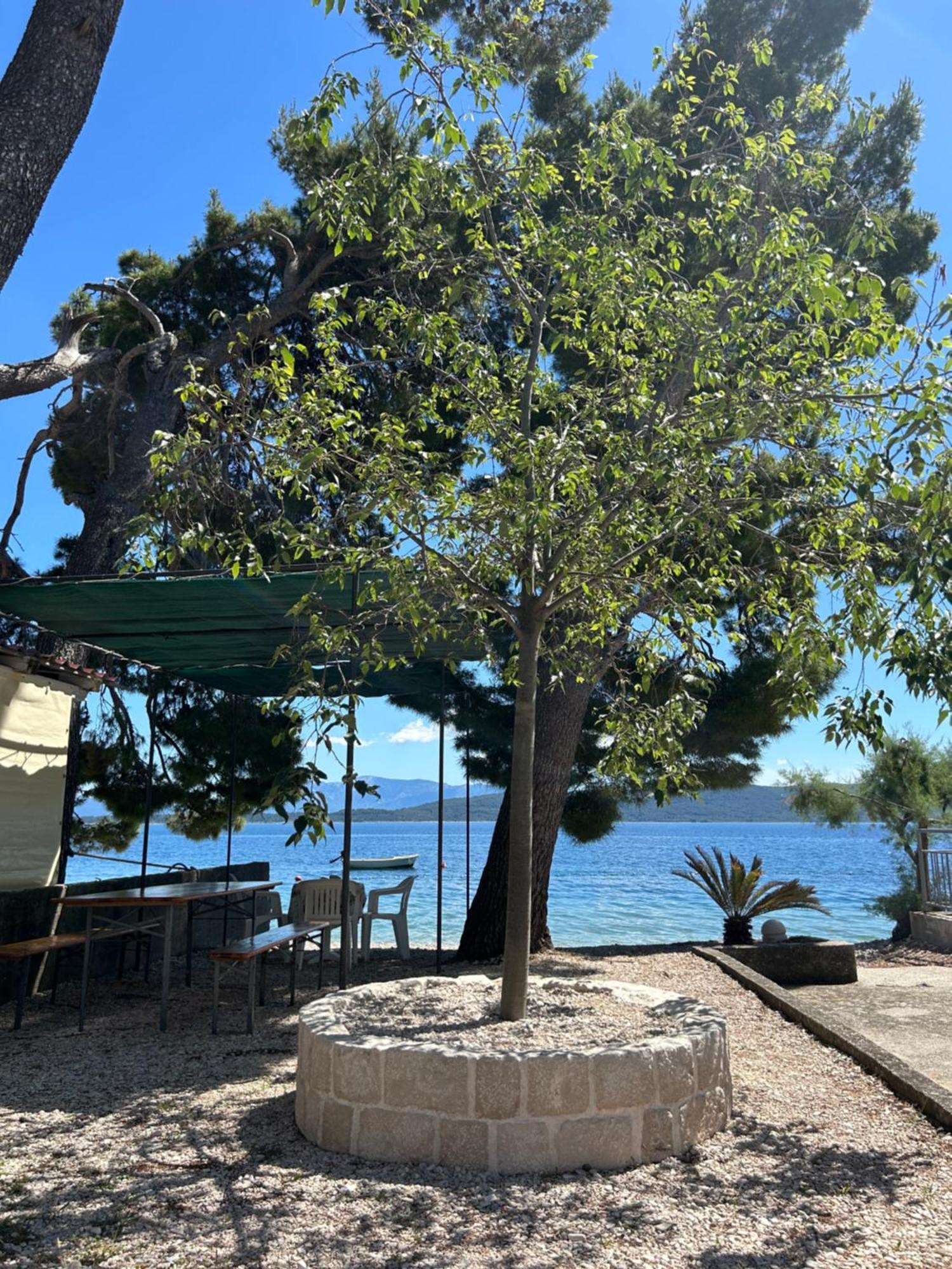 Sobe Gorana Hotel Živogošće Екстериор снимка